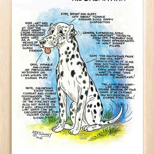 Amateurs de chiens ~ Connaissez votre chien ~ Dessin animé canin ~ Le Dalmatien