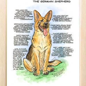 Amantes de los perros ~ 'Conoce a tu perro' ~ Caricatura canina ~ El pastor alemán