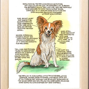 Hundeliebhaber ~ 'Kenne deinen Hund' ~ Hunde Cartoon ~ Der Papillon