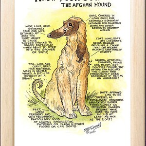Amantes de los perros ~ 'Conoce a tu perro' ~ Caricatura canina ~ El galgo afgano.