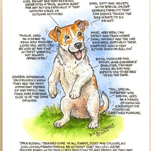 Dog Lovers ~ 'Know your Dog' ~ Canine Cartoon ~ The Jack Russell Terrier (Turbo Charged Variety)