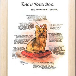 Amantes de los perros ~ 'Conoce a tu perro' ~ Dibujo animado canino ~ El Yorkshire Terrier