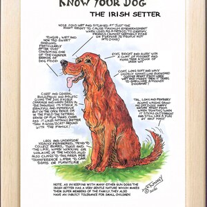 Dog Lovers ~ 'Know your Dog' ~ Canine Cartoon ~ The Irish Setter