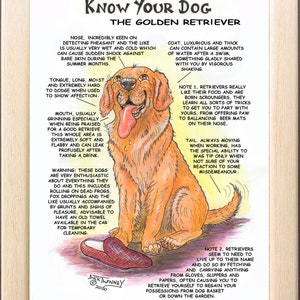 Dog Lovers ~ 'Know your Dog' ~ Canine Cartoon ~ The Golden Retriever