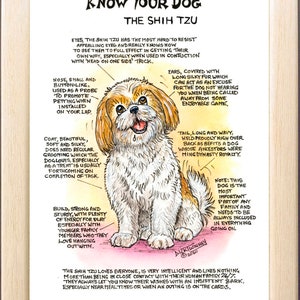 Amateurs de chiens ~ Connaissez votre chien ~ Dessin animé canin ~ Le shih tzu