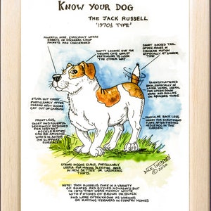 Dog Lovers ~ 'Know your Dog' ~ Canine Cartoon ~ The Jack Russell Terrier