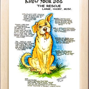 Dog Lovers ~ 'Know your Dog' ~ Canine Cartoon ~ The Rescue, Large Hairy, Misc.