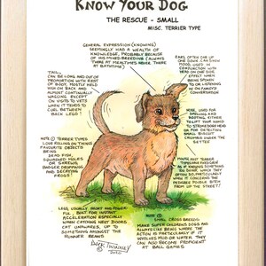 Amanti dei cani ~ "Conosci il tuo cane" ~ Fumetto canino ~ The Rescue, Piccolo, Misc. Terrier Type