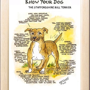 犬好きの方へ ~ 「あなたの犬を知ろう」 ~ 犬の漫画 ~ スタッフォードシャー・ブル・テリア
