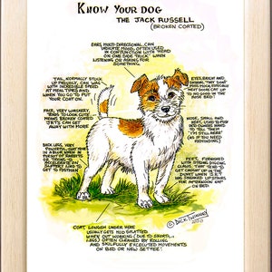 Amantes de los perros ~ 'Conoce a tu perro' ~ Dibujo animado canino ~ El Jack Russell Terrier (de pelaje áspero)