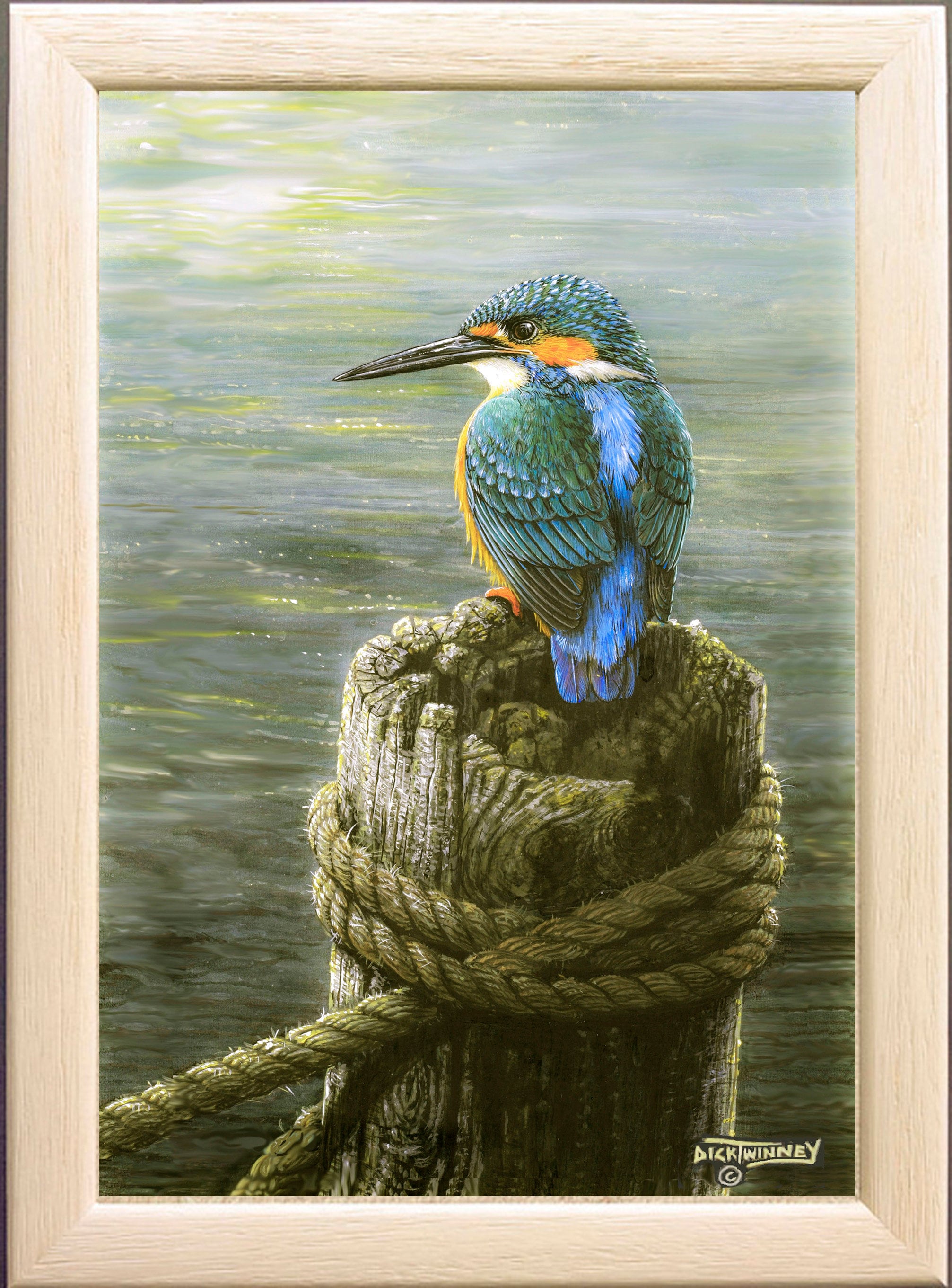 Kingfisher on a Mooring Post, the River Camel, Wadebridge, Cornwall
