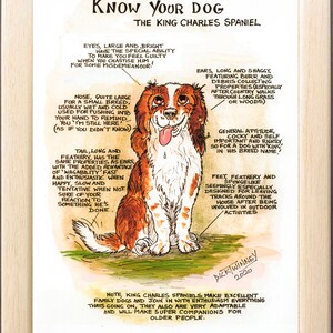 Amantes de los perros ~ 'Conoce a tu perro' ~ Dibujo animado canino ~ El King Charles Spaniel