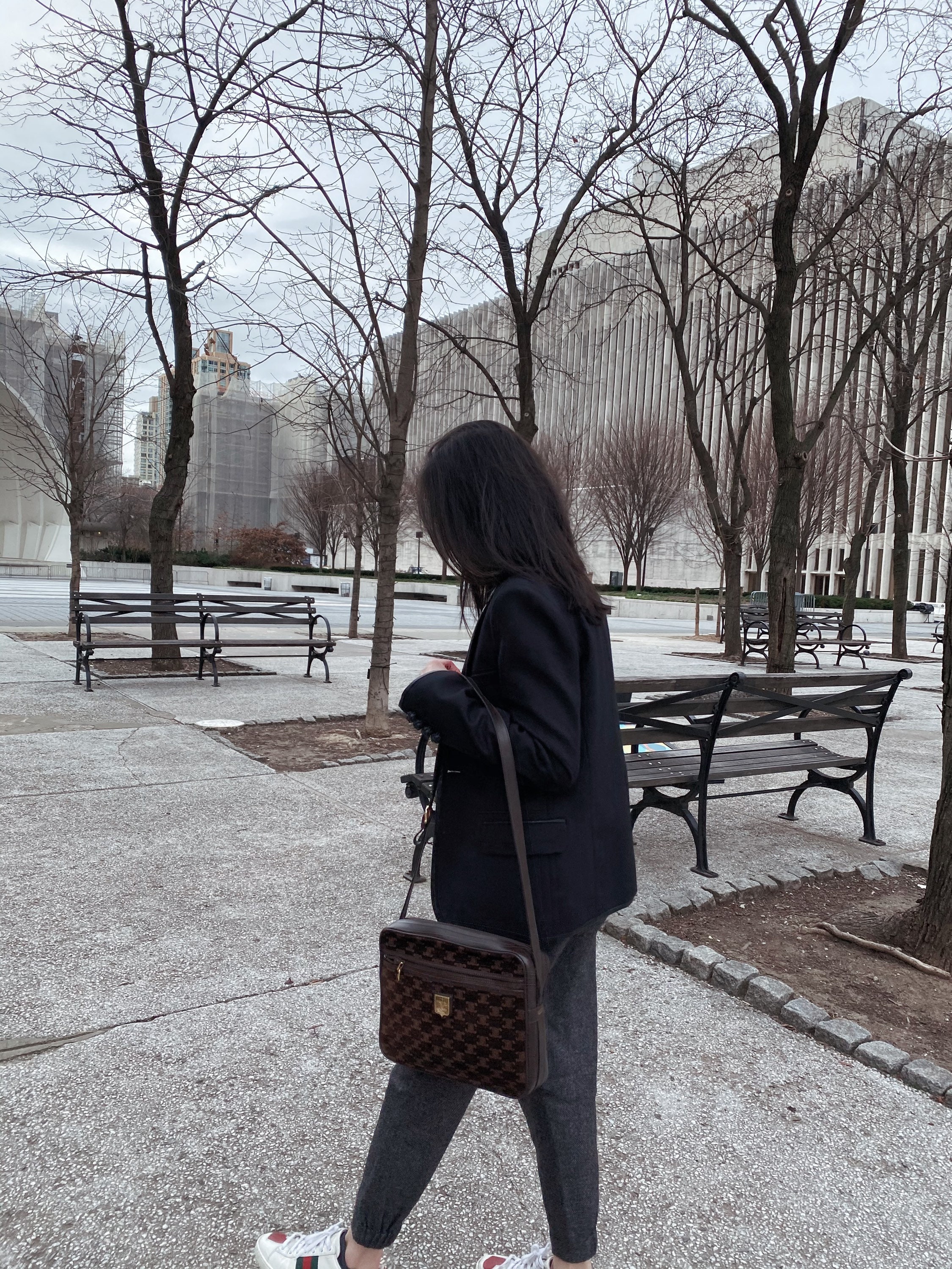 celine monogram tote