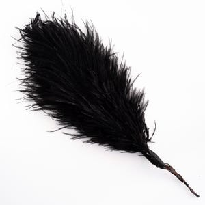 Antique Black Ostrich Feather Milliners Trim / Hair Accessory