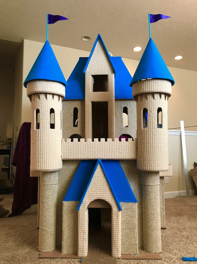 cat play house