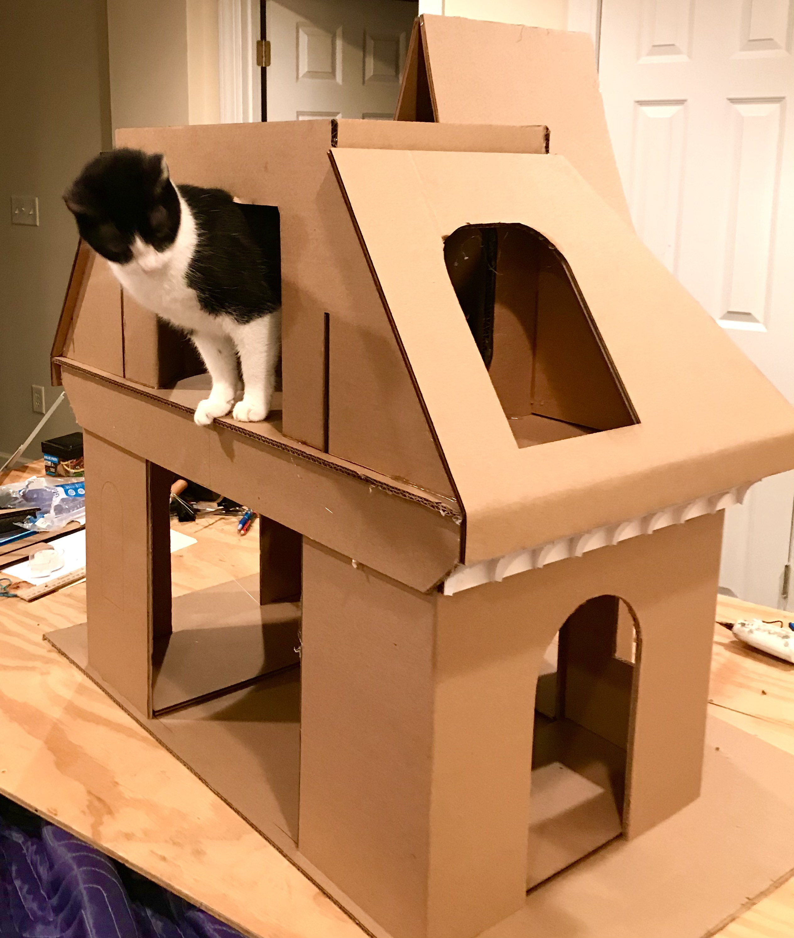 Cool Cardboard Cat Houses