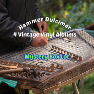 Caja misteriosa de dulcémele Lote de 4 LP de vinilo vintage Música de los años 70 y 80 Folk Violín Apalache Blue Grass