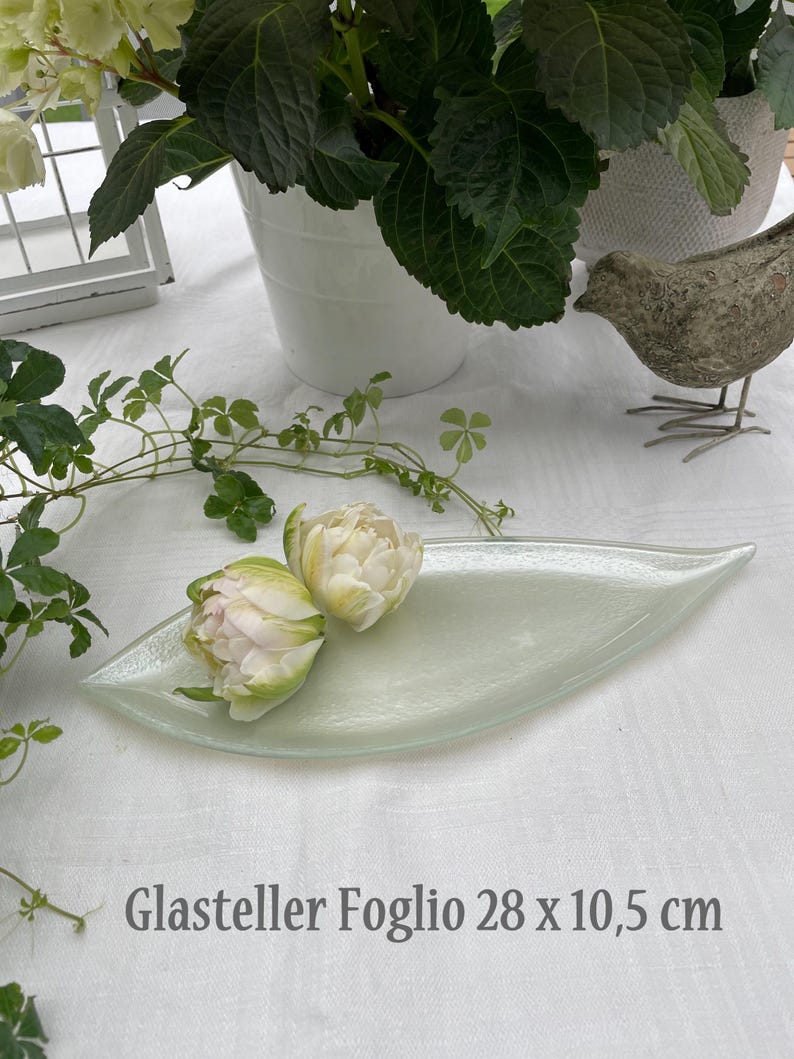 K&ouml;nnte beinhalten: Eine blattf&ouml;rmige, hellgr&uuml;ne Glasservierschale mit zwei wei&szlig;en und rosa Tulpen. Die Schale ist 28 cm lang und 10,5 cm breit. Der Text "Glasteller Foglio 28 x 10,5 cm" ist auf der wei&szlig;en Oberfl&auml;che aufgedruckt.