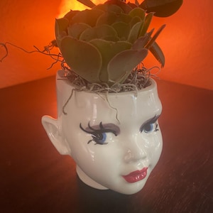 Pixie head Planter image 12