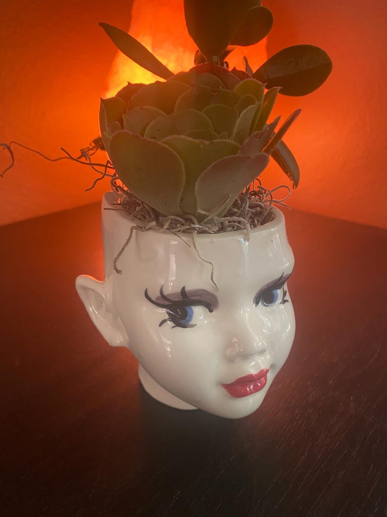 Pixie head Planter image 12