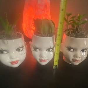 May include: Three white ceramic planters shaped like human heads with painted facial features, including dark eyelashes and red lips. Each contains a small green succulent plant. A yellow measuring tape shows a height of approximately 6 inches.