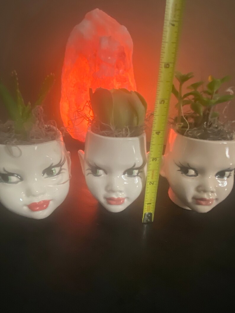 May include: Three white ceramic planters shaped like human heads with painted facial features, including dark eyelashes and red lips. Each contains a small green succulent plant. A yellow measuring tape shows a height of approximately 6 inches.