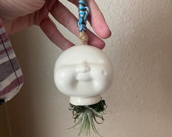 Cabbage patch kid hanging air plant