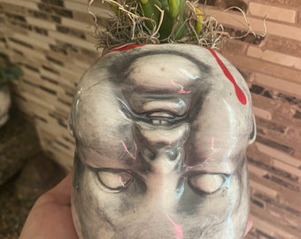 Blodig baby head suckulenter plantering
