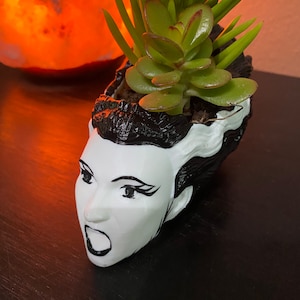 May include: A white ceramic planter shaped like a woman's head with black hair and a surprised expression. The planter is filled with a green succulent plant.