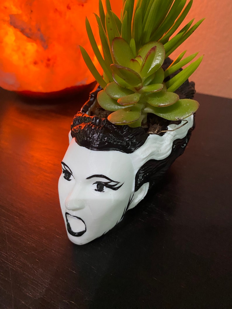 May include: A white ceramic planter shaped like a woman's head with black hair and a surprised expression. The planter is filled with a green succulent plant.