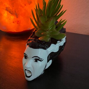 May include: A white ceramic planter shaped like the head of Frankenstein's monster with black hair and a green succulent plant growing out of the top.