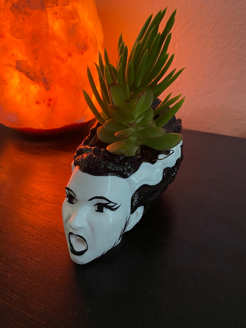 May include: A white ceramic planter shaped like the head of Frankenstein's monster with black hair and a green succulent plant growing out of the top.