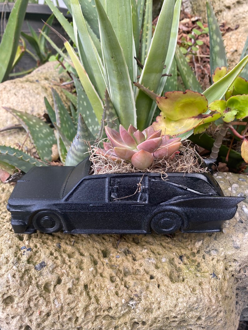 May include: A black car-shaped planter with a succulent plant growing inside. The planter is sitting on a rock surface.