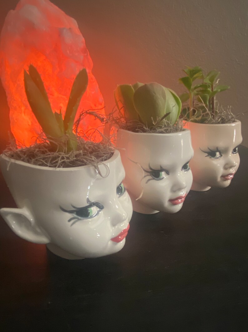 May include: Three white ceramic planters shaped like doll heads with painted facial features including green eyes, dark eyelashes, and pink lips. Each planter contains a small green succulent plant nestled in dried moss, arranged in a row.