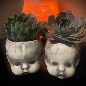 May include: Two ceramic doll head planters with succulent plants. The planters are white with black painted details and have a distressed look. The succulents are green and purple.