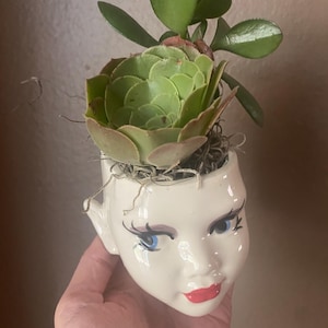 May include: A white ceramic head-shaped planter featuring painted blue eyes, long black eyelashes, and bright red lips. The planter contains a green succulent plant with rounded leaves and a rosette-shaped succulent, accented with dried moss at the base.