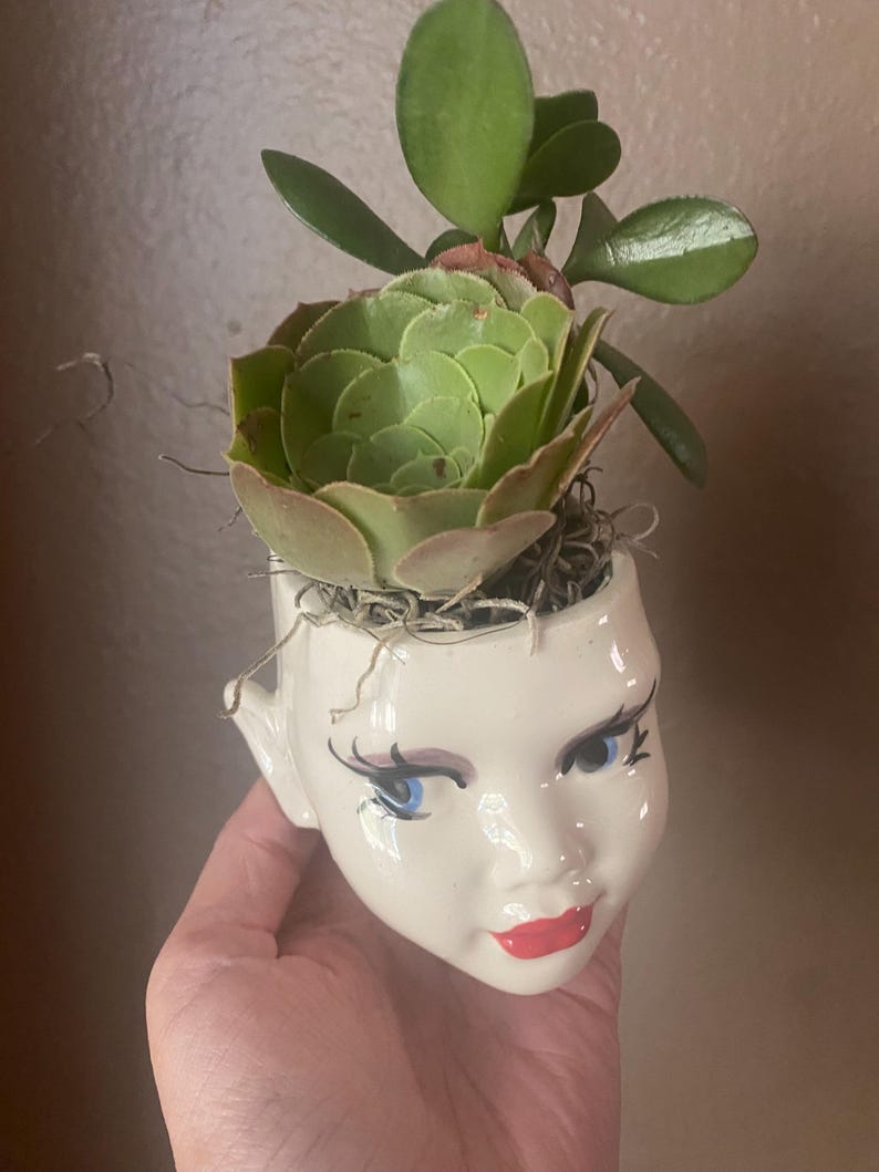 May include: A white ceramic head-shaped planter featuring painted blue eyes, long black eyelashes, and bright red lips. The planter contains a green succulent plant with rounded leaves and a rosette-shaped succulent, accented with dried moss at the base.