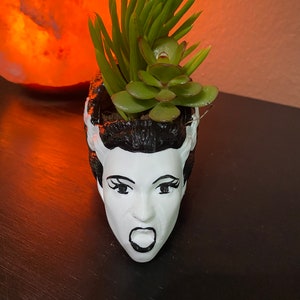 May include: A white ceramic planter shaped like a woman's head with black hair and a surprised expression. The planter is filled with green succulents.