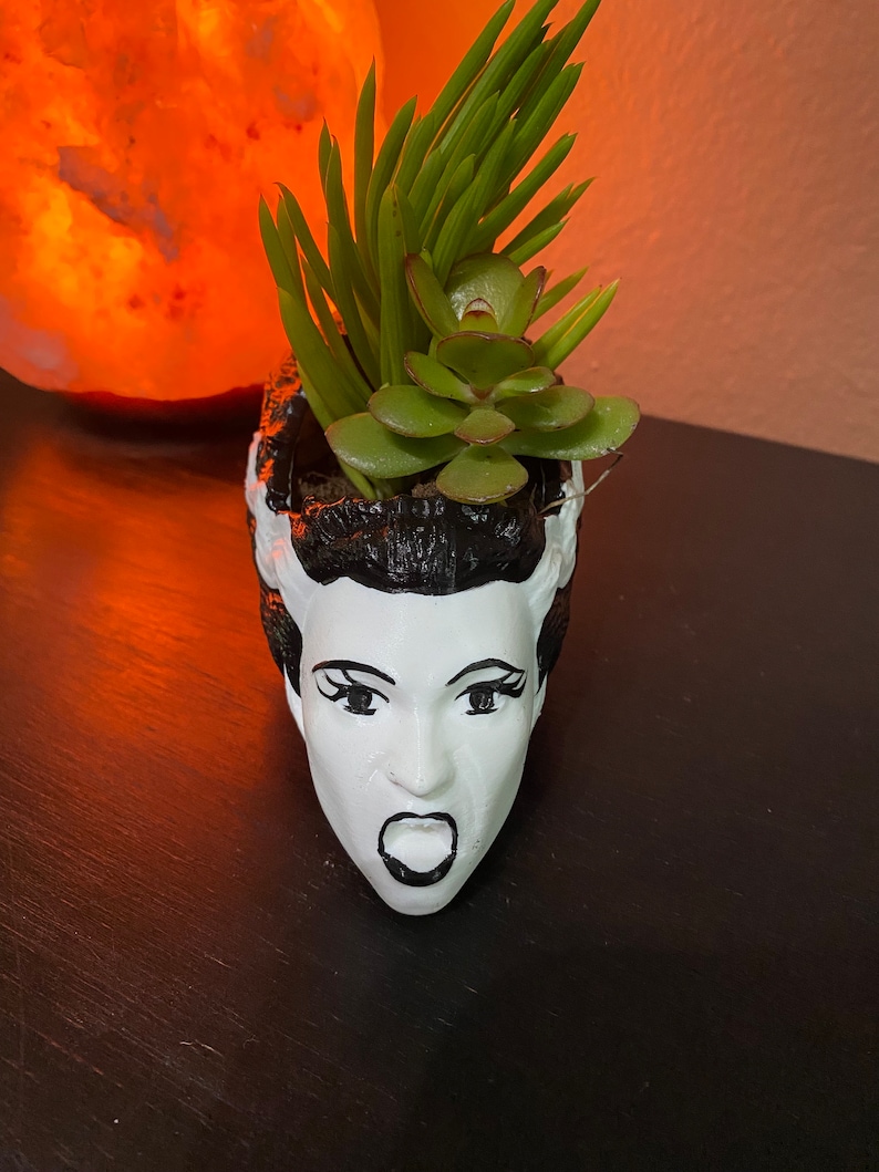 May include: A white ceramic planter shaped like a woman's head with black hair and a surprised expression. The planter is filled with green succulents.