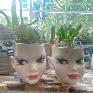 May include: Two white ceramic head-shaped planters featuring painted facial details including green eyes, long black eyelashes, and pink lips. Each planter contains a green succulent plant topped with dried moss, creating a unique decorative display.
