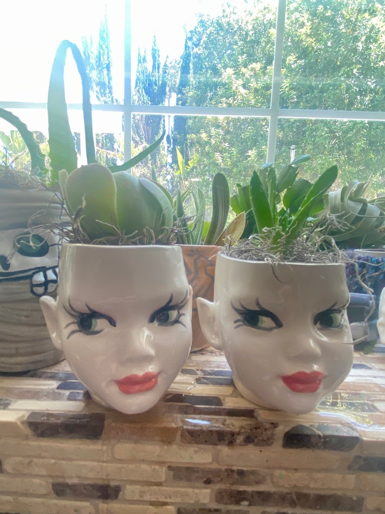 May include: Two white ceramic head-shaped planters featuring painted facial details including green eyes, long black eyelashes, and pink lips. Each planter contains a green succulent plant topped with dried moss, creating a unique decorative display.