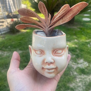 May include: A ceramic planter shaped like a child's face with a succulent plant growing out of the top. The planter is white with a light brown glaze and the plant has brown leaves.
