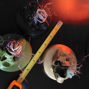 Mini macetero con boca de calavera de 4 pulgadas redondo