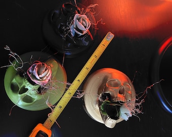 Jardinière buccale Mini Skull 4 pouces ronde