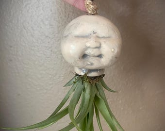 Cabbage patch kid hanging air plant