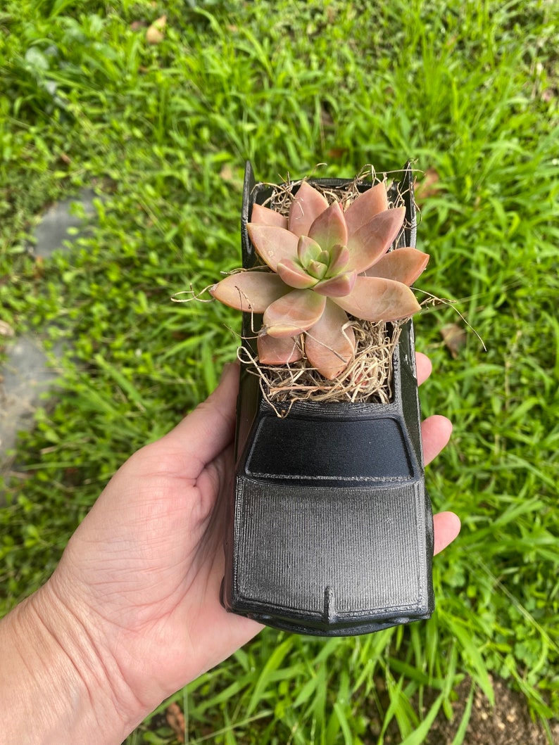 May include: A black car-shaped planter with a succulent plant growing out of the top. The succulent has light pink and green leaves.