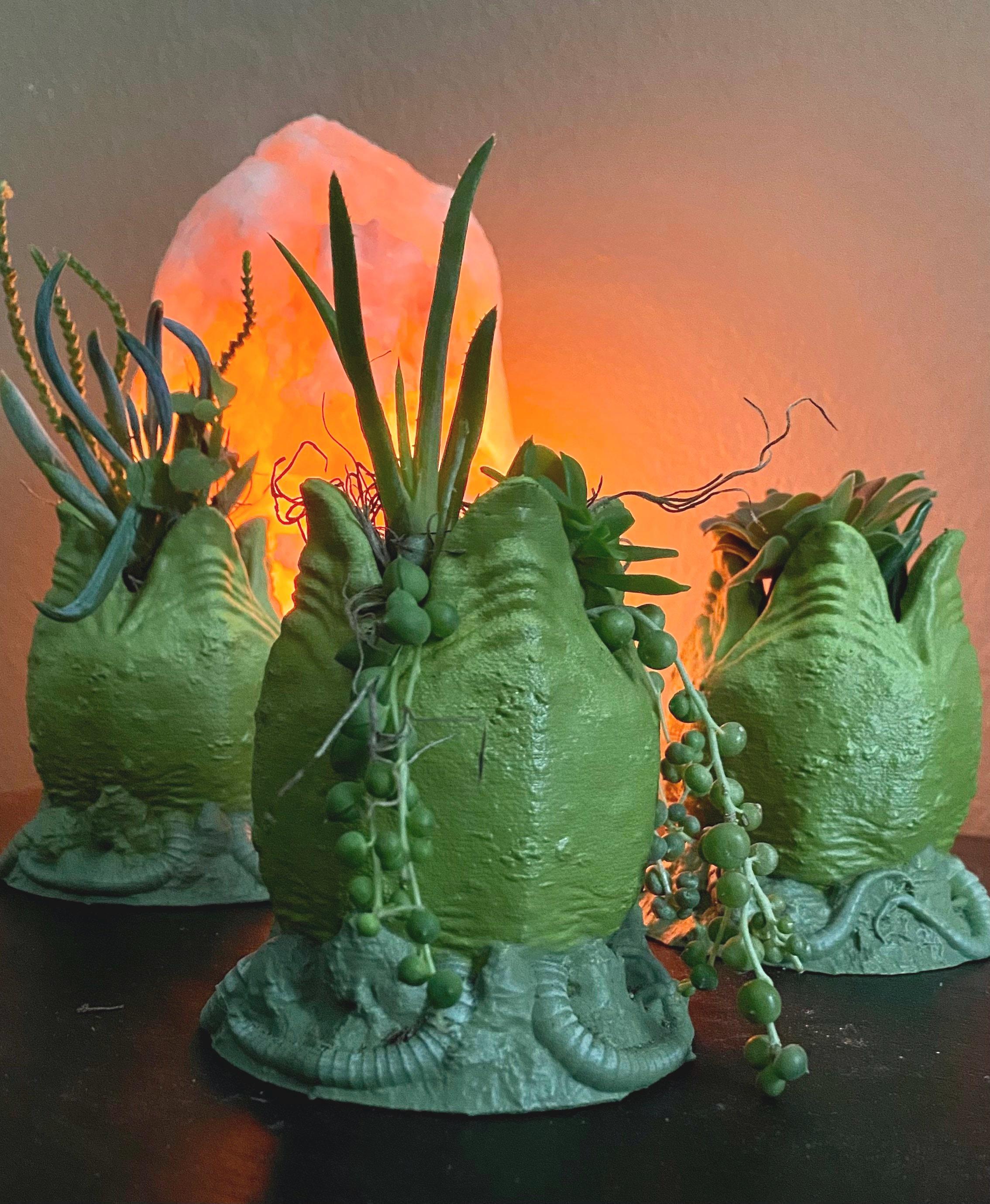 エイリアンの卵植え機 - Etsy 日本