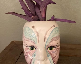 Maceta con forma de cara de mariposa