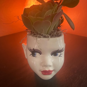 May include: A white ceramic planter shaped like a human head with painted blue eyes, long black eyelashes, and bright red lips. The planter contains a green succulent plant with thick leaves and dried moss tucked around the base of the plant.