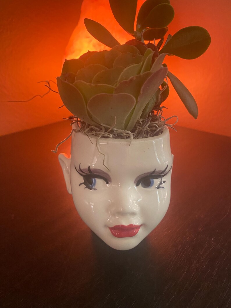 May include: A white ceramic planter shaped like a human head with painted blue eyes, long black eyelashes, and bright red lips. The planter contains a green succulent plant with thick leaves and dried moss tucked around the base of the plant.